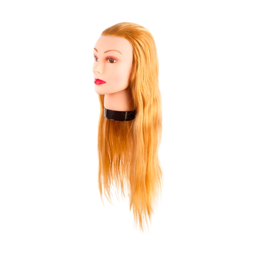 CABEZA DE PR�CTICA EUROSTIL CABELLO PRO-H LARGO