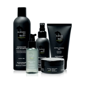 COMBO ALFAPARF BLENDS OF MANY