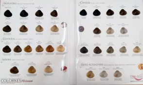 SILKEY COLORKEY MILENIUM 120GR