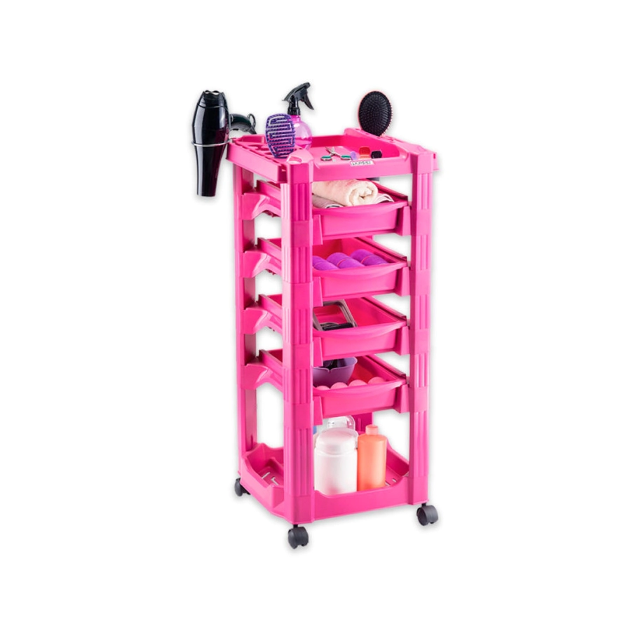 AYUDANTE DOMPEL VEGAS ROSA