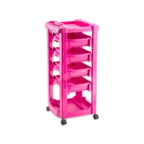 AYUDANTE DOMPEL VEGAS ROSA