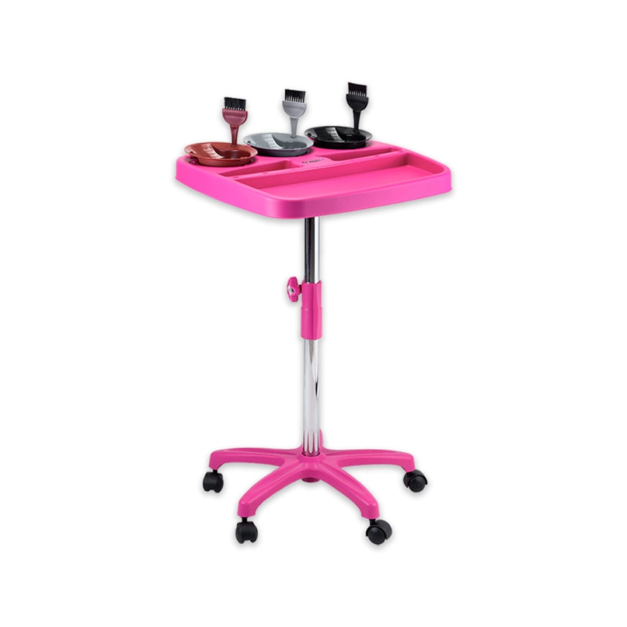 DOMPEL AYUDANTE TINTORERO MULTICOLOR ROSA