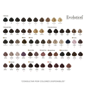 ALFAPARF EVOLUTION CUBE 58GR